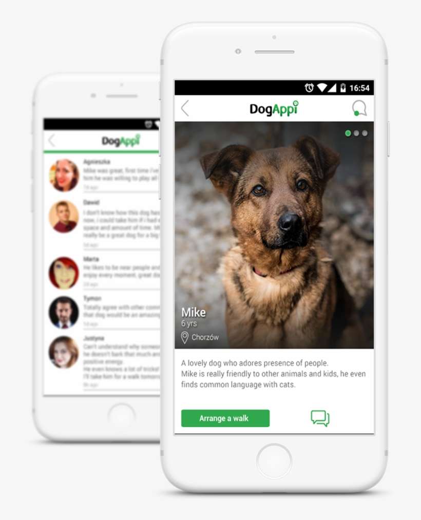 Go To Nearest Dog Shelter And Take A Doggie For A Walk, - Iphone, transparent png download