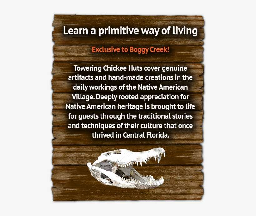 Native American Real Indians In Orlando Florida - American Ballet Theatre, transparent png download