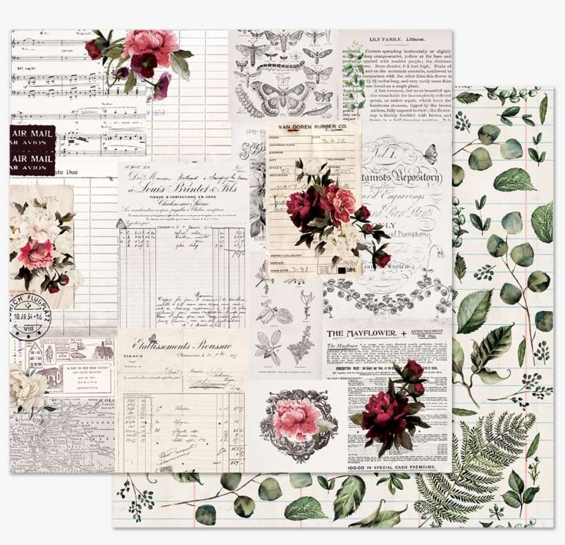 849023 - Prima Marketing, transparent png download