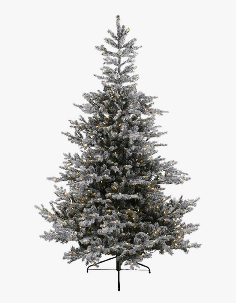 Tree Grandis Fir Snowy With Led Lighting, - Pre-lit Tree, transparent png download
