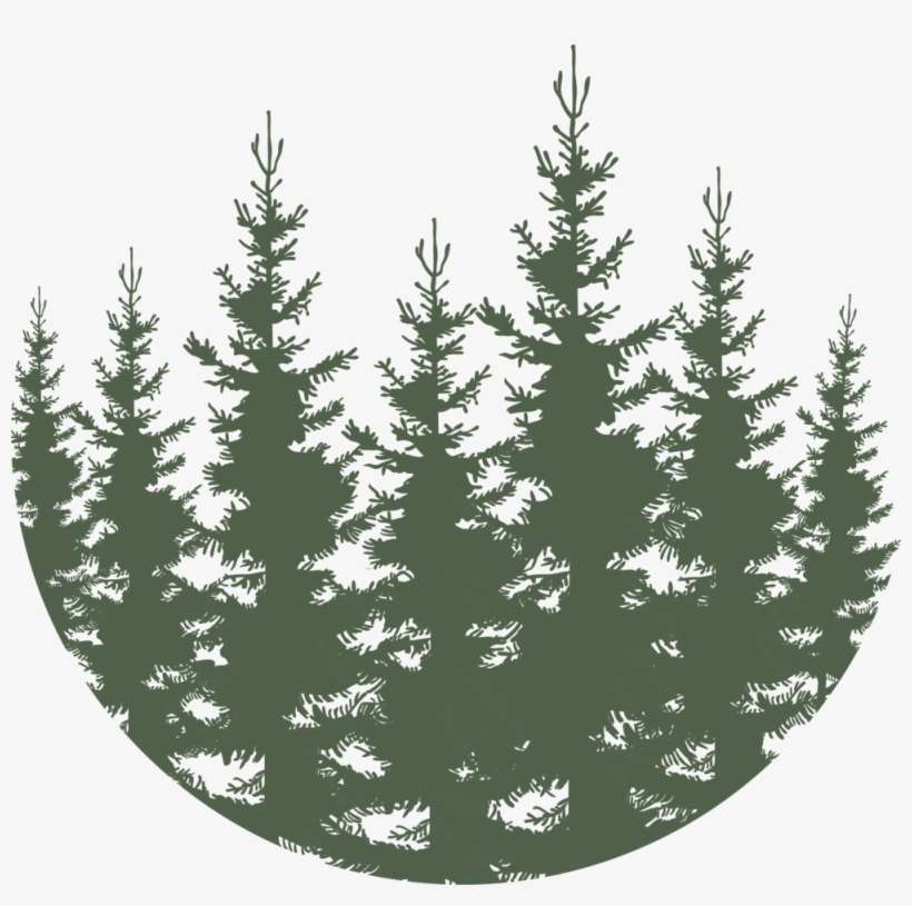 Forest - Green - Christmas Tree, transparent png download