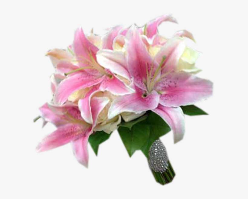 Lily/rose Clutch - Stargazer Lily, transparent png download