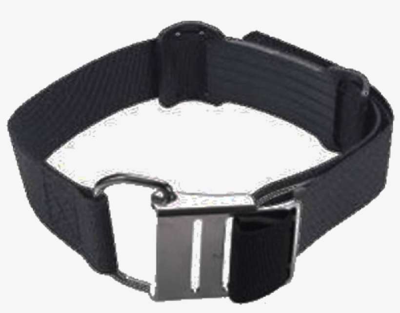 Hog Tank Strap With Stainless Cam Buckle - Strap, transparent png download