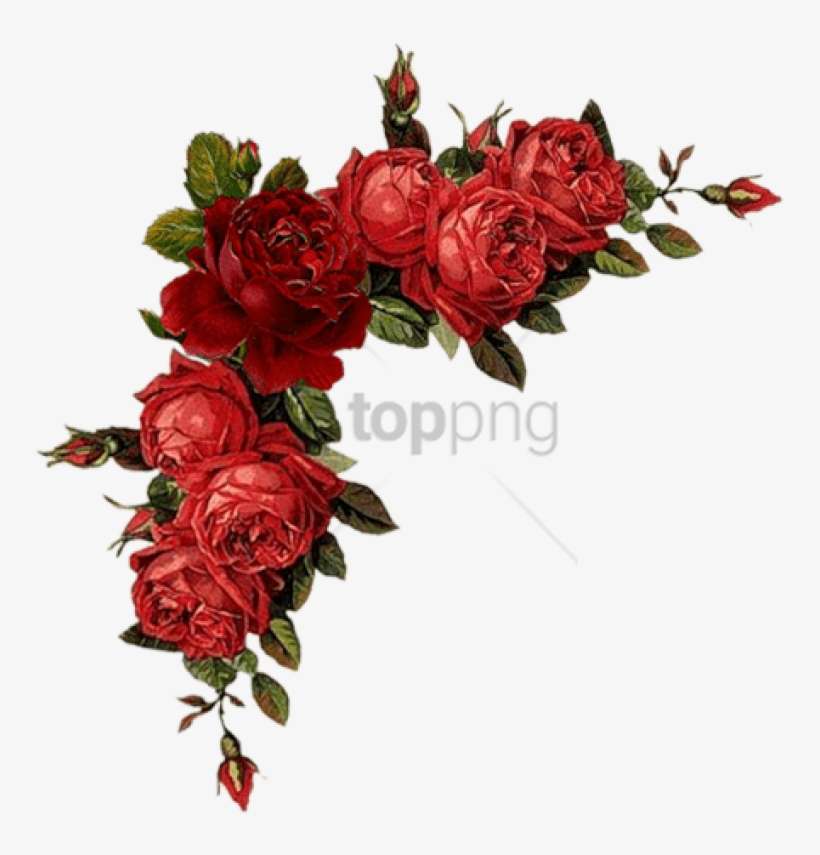 Free Png Colorful Floral Corner Borders Png Png Image - Red Flower Vintage Png, transparent png download