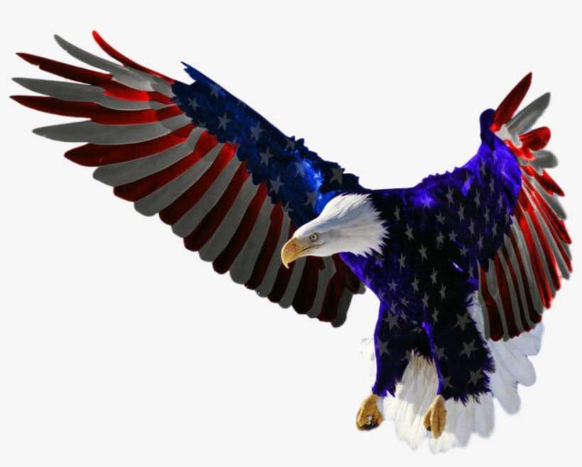 Features American Flag Eagle Clipped Rev - Majestic American Bald Eagle, transparent png download