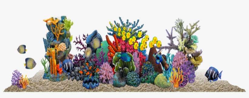 Home - Stickers Aquarium, transparent png download