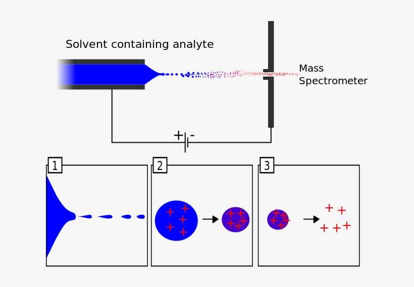 662 X 527 2 - Parts Of Electrospray Ionization Mass Spec, transparent png download