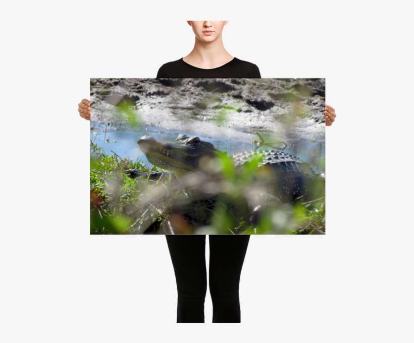 Canvas Print, transparent png download