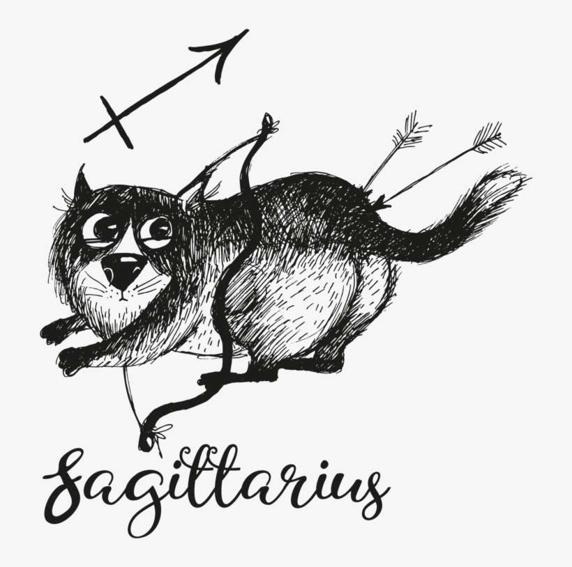 Simply Sagittarius Men's Printed T Shirt - Mug, transparent png download