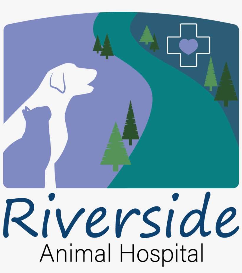 Riverside Animal Hospital Veterinarian In Kelso Png - Hunting Dog, transparent png download