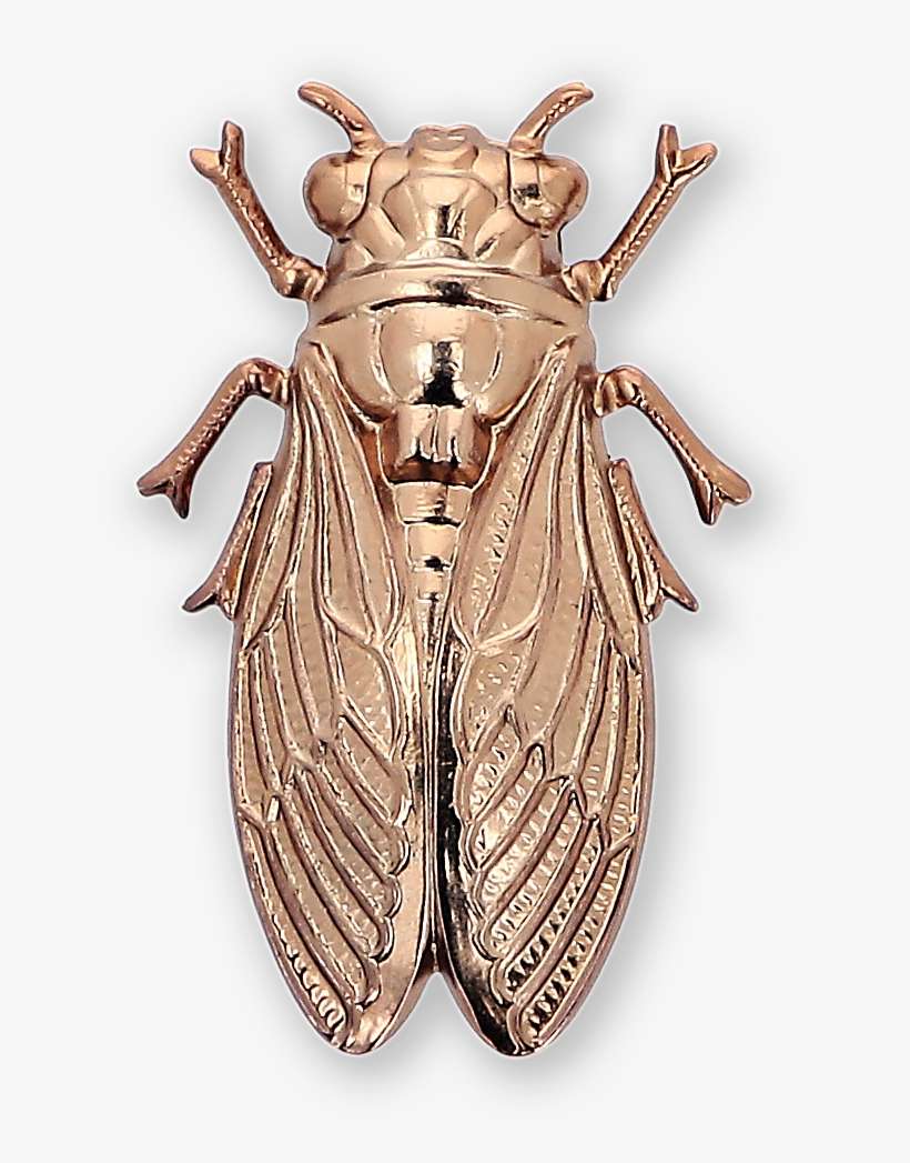 Cicada Gold-plated Brooch Ss19 Collection, Pal Zileri - Cicada, transparent png download
