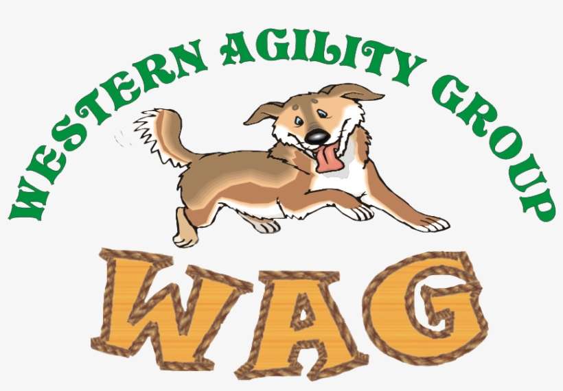 Happy Dogs Wag - Kpop, transparent png download