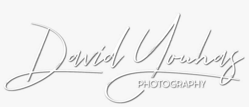 David Youhas Photography - Silver, transparent png download
