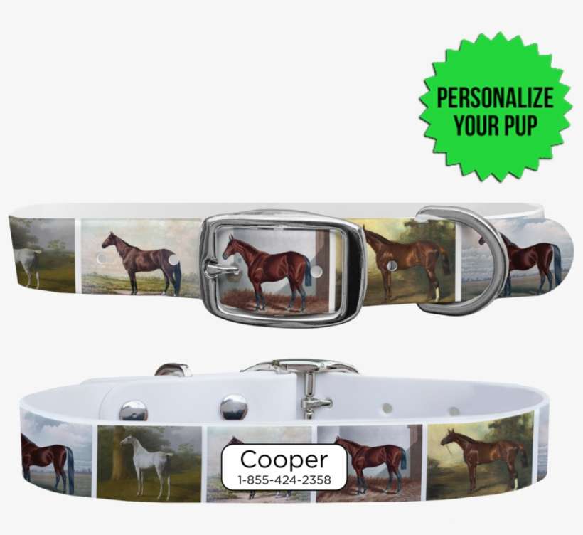 Belt, transparent png download