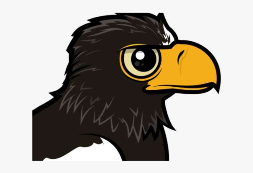 Stellers Sea Eagle Clipart Png - Steller's Sea Eagle, transparent png download