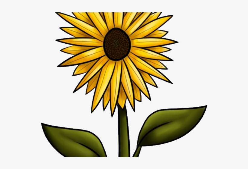 Sunflower Clipart Flower - Clip Art, transparent png download