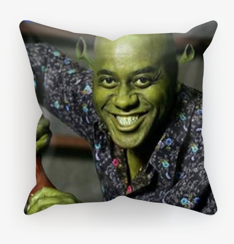 shrek sequin pillow
