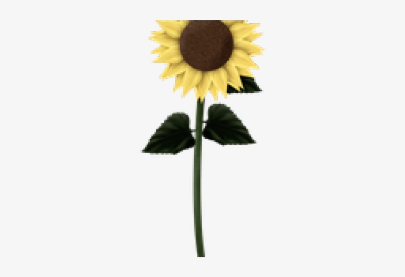 Sunflowers Clipart Swirl - Clip Art, transparent png download
