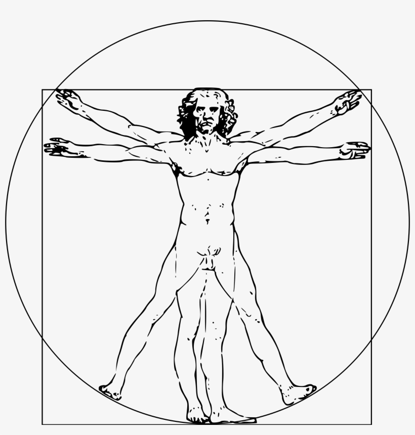 Big Image - Leonardo Da Vinci Transparent, transparent png download