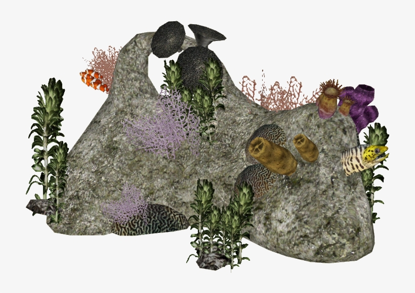 Animatedreef1 Zerosvalmont - Gentoo Penguin, transparent png download