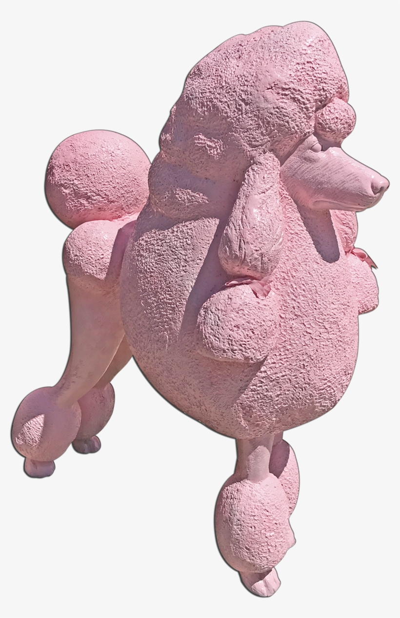 Pink Large Poodle - Miniature Poodle, transparent png download