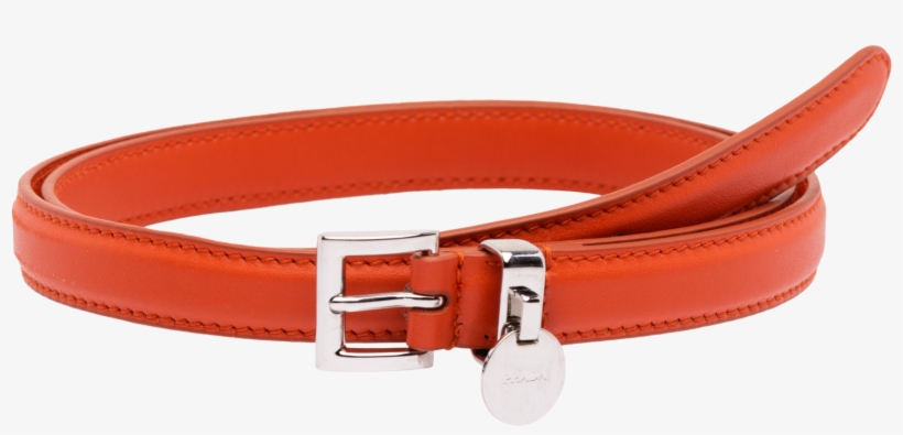 Belt Buckle, transparent png download