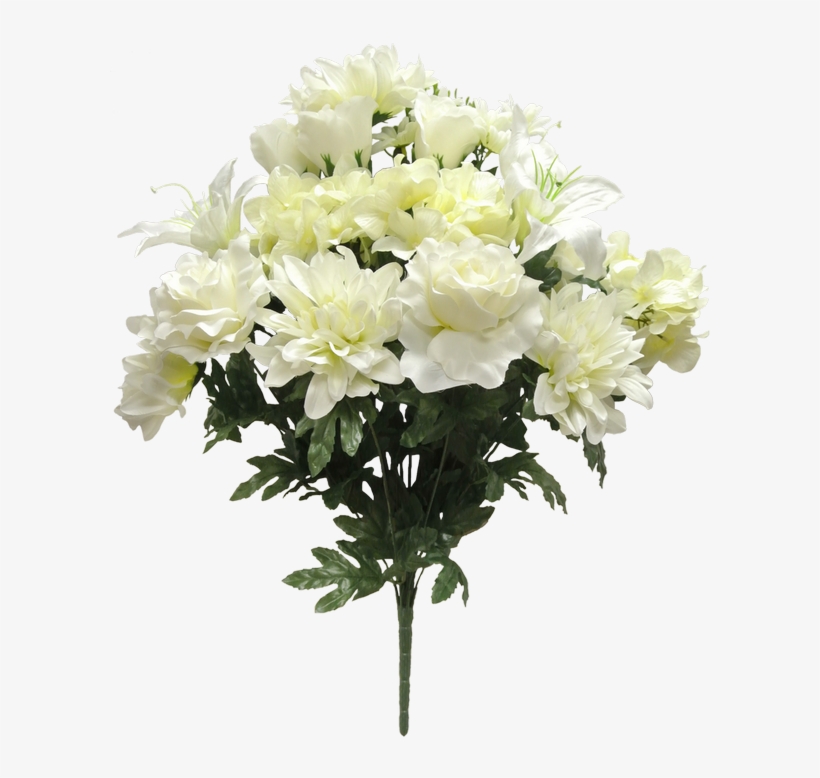 58224-cr - Rosa Rugosa, transparent png download