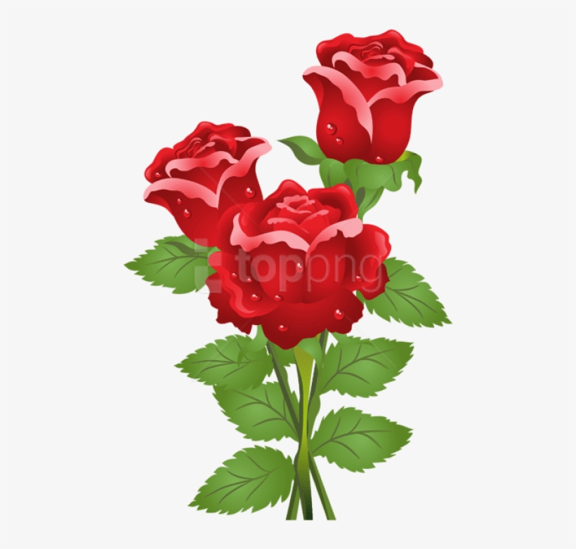 Free Png Download Roses Png Images Background Png Images - Real Rose Flower With Butterfly, transparent png download