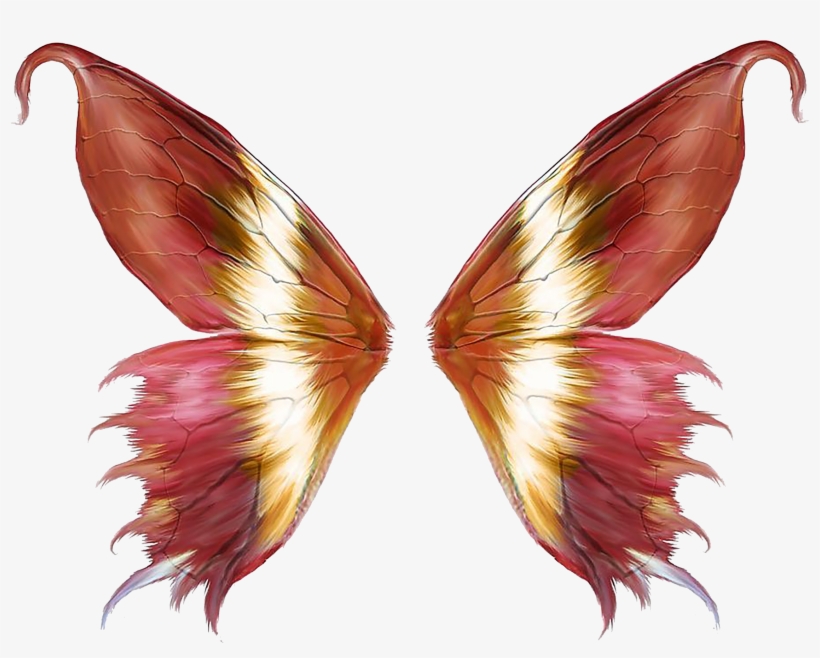 Pink Butterfly Transprent Png Free Download Pollinator - Butterfly Wings Png, transparent png download