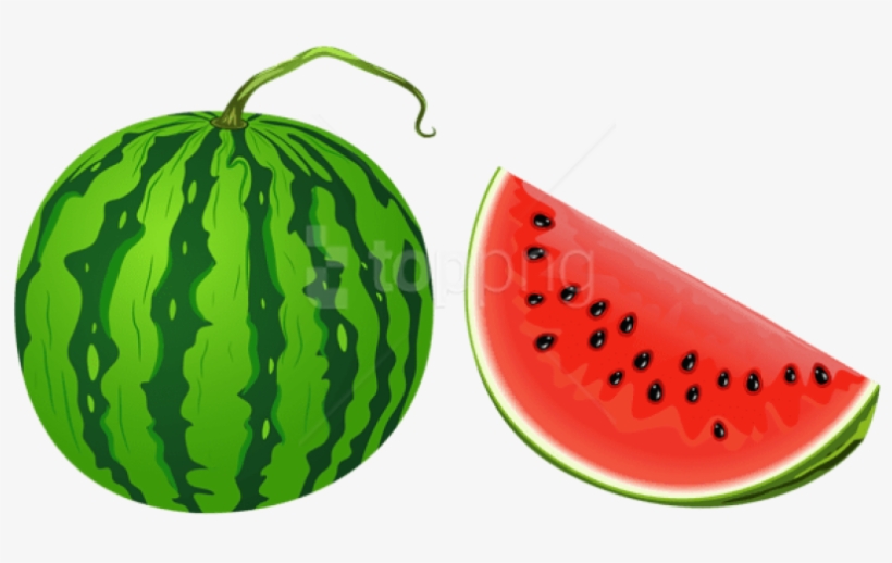 Free Png Watermelon Png Vector Png - Watermelon Clipart Png, transparent png download
