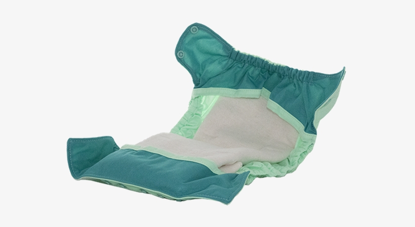 Wow0821240209blcljlllml - Diaper, transparent png download