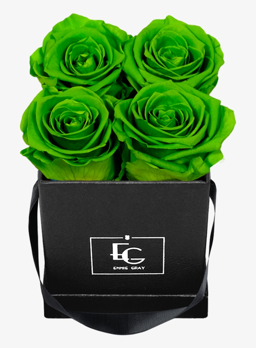 Classic Infinity Rosebox - Garden Roses, transparent png download