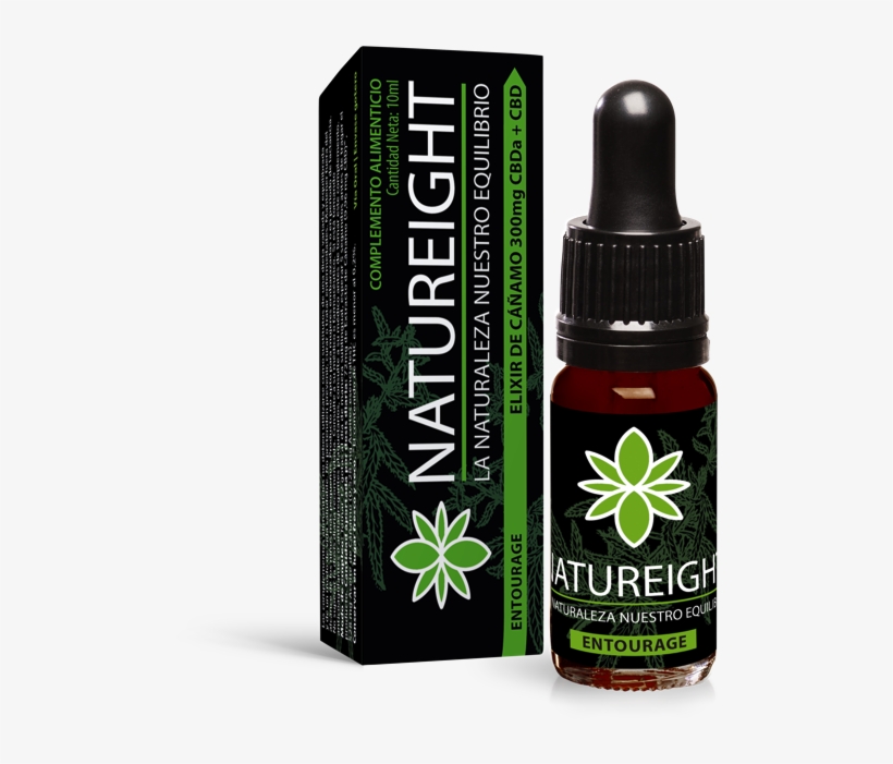 Entourage-1 - Mutiny Within Mutiny Within, transparent png download