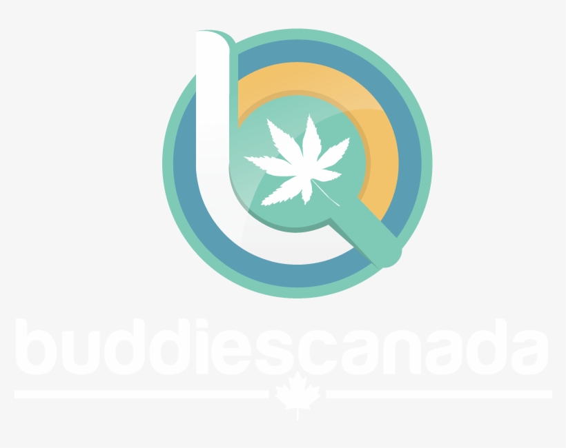 Instagram - Emblem, transparent png download