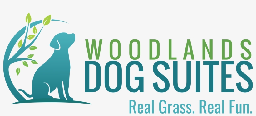 Tagline For Kennels, transparent png download