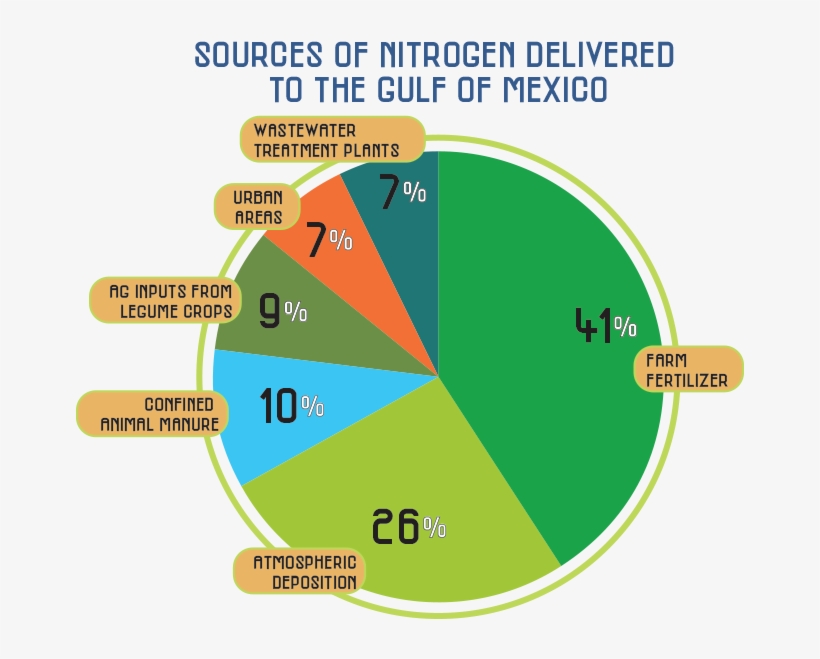 Fertilizer Is The Single Largest Source Of Nitrogen - Sources Of Nitrogen Delivered To The Gulf, transparent png download