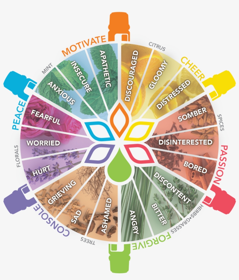 Essential Happiness Free Samples, Doterra Blends, Doterra - Doterra Aromaterapia Emocional, transparent png download