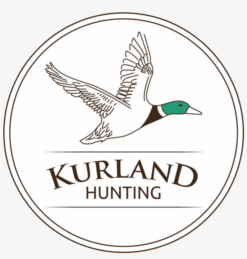 Logo Logo Logo Logo Logo - Mallard, transparent png download