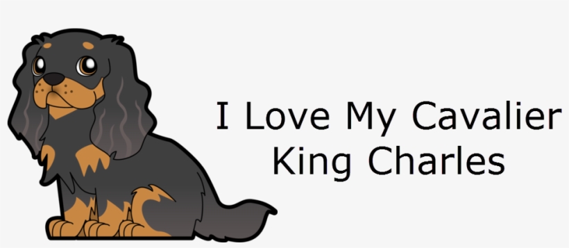 My Cavalier King Charles, transparent png download
