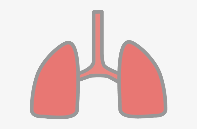 Free Icon Clip Art Illustration Material View, transparent png download