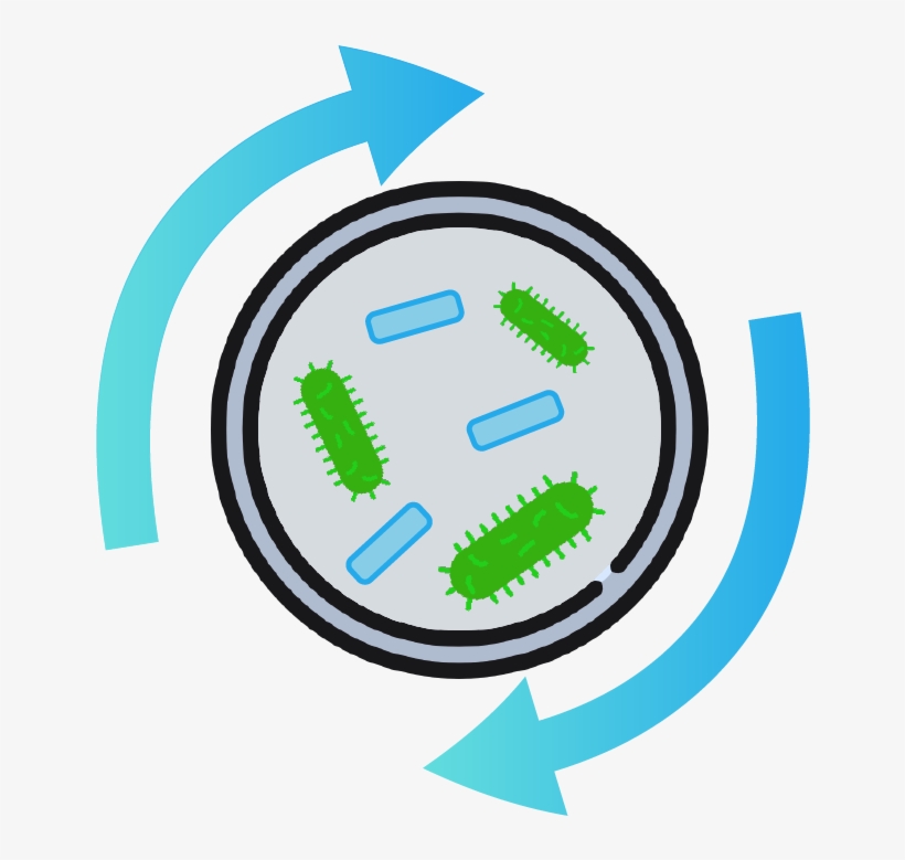 Resulting In A System That Is - Circle, transparent png download