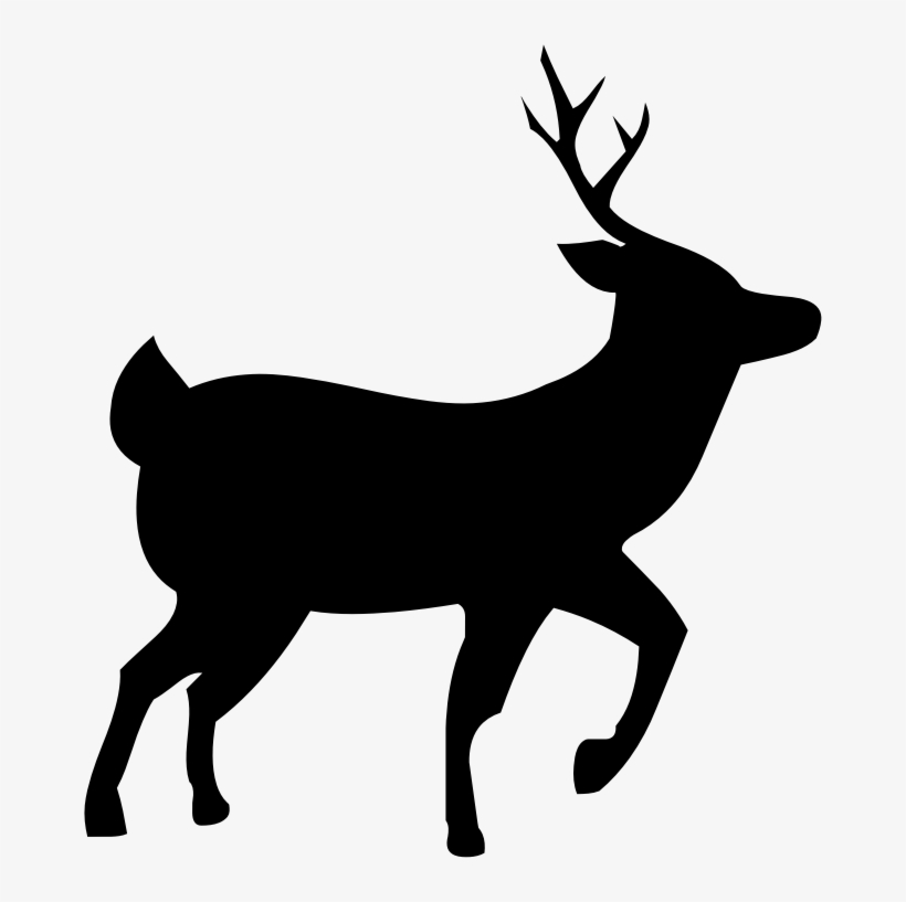 Medium Image - Deer Silhouette Transparent, transparent png download