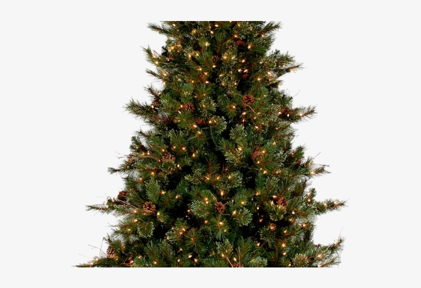 Fir-tree Png Transparent Images - Small Christmas Tree Png, transparent png download