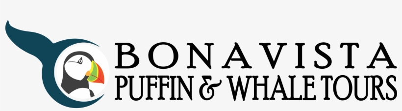 Book Your Adventure Today - Human Action, transparent png download