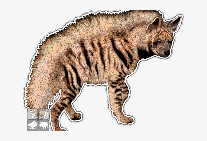 Hyena Clipart Mammal - Hyena Aardwolf, transparent png download