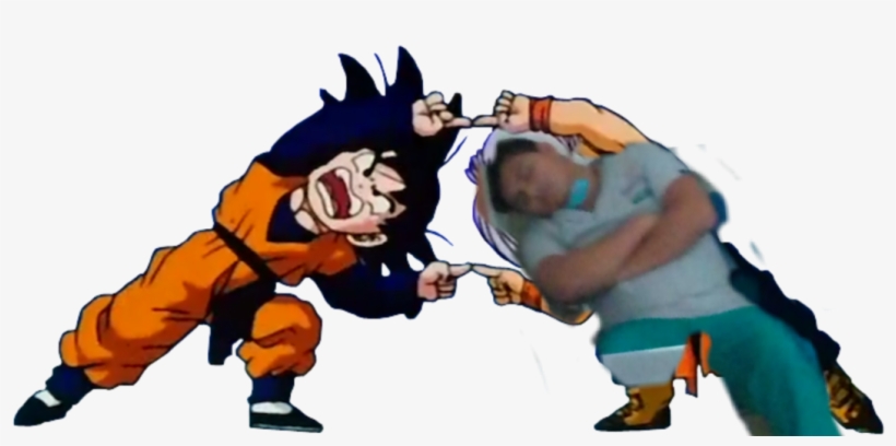 Fusão Trunks E Gohan, transparent png download