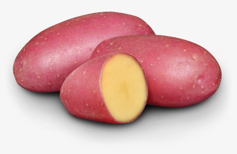 Cerisa - Yam, transparent png download