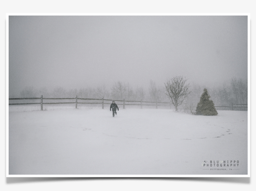 White Out Snow Storm - Snow, transparent png download