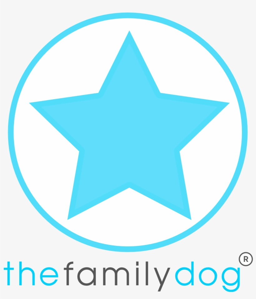 The Most Ideal Situation Would Be To Go Walking As - Circle, transparent png download