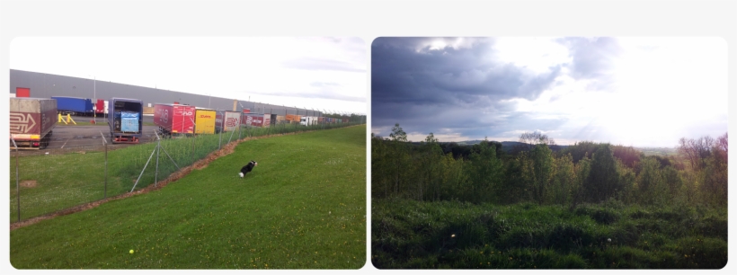 Axa Ppp Healthcare Are Holding A Live Chat Where Health - Grass, transparent png download